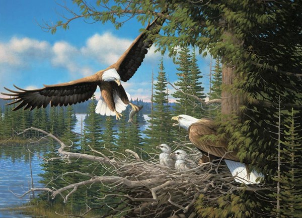 Cobble Hill (80070) - Michael Sieve: "Nesting Eagles" - 1000 brikker puslespil