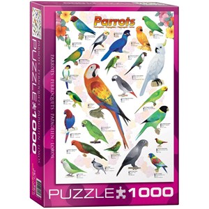 Eurographics (6000-0126) - "Parrots" - 1000 brikker puslespil