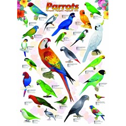 Eurographics (6000-0126) - "Parrots" - 1000 brikker puslespil