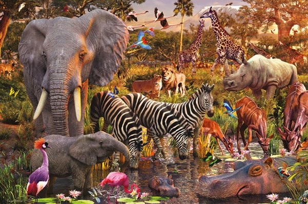 Ravensburger (17037) - David Penfound: "African Animal World" - 3000 brikker puslespil