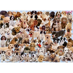 Ravensburger (15633) - "Dogs Galore!" - 1000 brikker puslespil