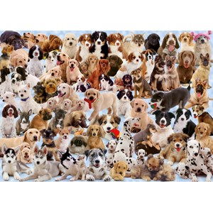 Ravensburger (15633) - "Dogs Galore!" - 1000 brikker puslespil