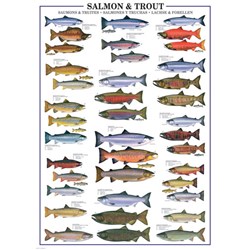 Eurographics (6000-0311) - "Salmon & Trout" - 1000 brikker puslespil