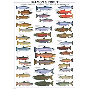 Eurographics (6000-0311) - "Salmon & Trout" - 1000 brikker puslespil