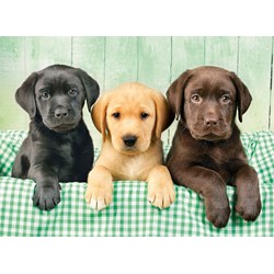 Clementoni (39279) - Greg Cuddiford: "Three Labs" - 1000 brikker puslespil