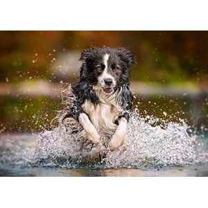 Castorland (B-52424) - "Taste of Freedom" - 500 brikker puslespil