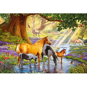 Castorland (C-103737) - "Horses by the Stream" - 1000 brikker puslespil