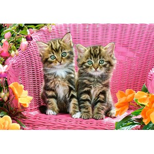 Castorland (C-103775) - "Kittens on Garden Chair" - 1000 brikker puslespil