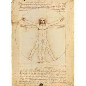Clementoni (35001) - Leonardo Da Vinci: "Vitruvian Man" - 500 brikker puslespil