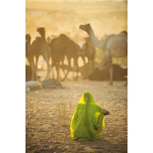 Clementoni (39302) - "Indian Woman" - 1000 brikker puslespil