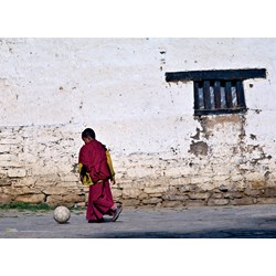 Clementoni (39355) - "Young Buddhist Monk" - 1000 brikker puslespil