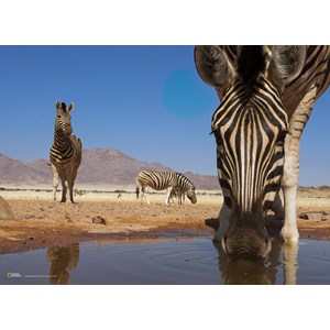 Clementoni (39356) - "Zebra" - 1000 brikker puslespil