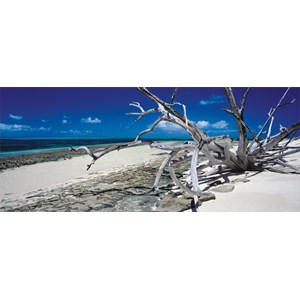 Schmidt Spiele (59362) - Mark Gray: "Green Island, Queensland, Australia" - 136 brikker puslespil