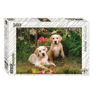 Step Puzzle (78076) - "Labrador Puppies" - 560 brikker puslespil