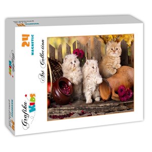 Grafika Kids (00322) - "Persian kittens" - 24 brikker puslespil