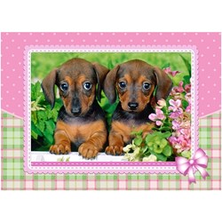 Castorland (13142) - "Dachshund Puppies" - 120 brikker puslespil