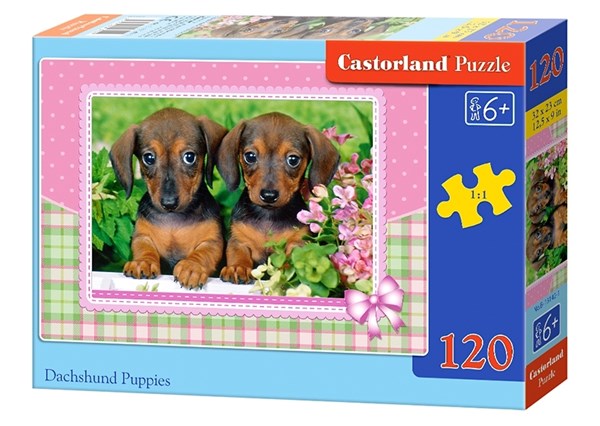 Castorland (13142) - "Dachshund Puppies" - 120 brikker puslespil