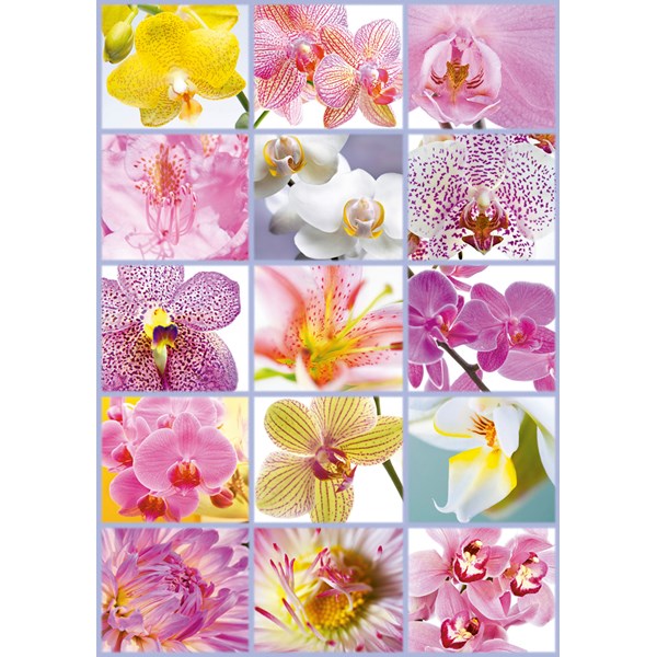 Educa (16302) - "Collage of Flowers" - 1500 brikker puslespil