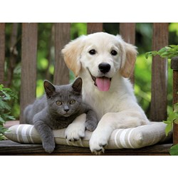 Ravensburger (14234) - "Friendly Opposites" - 500 brikker puslespil