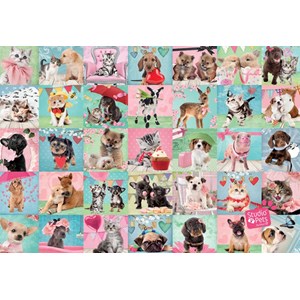 Jumbo (19353) - "Lovely Day" - 1000 brikker puslespil