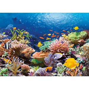 Castorland (C-101511) - "Coral Reef" - 1000 brikker puslespil