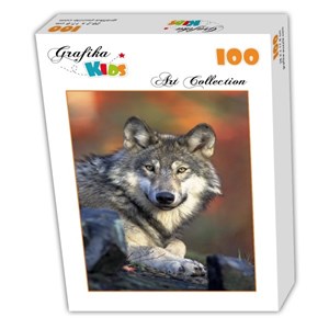 Grafika Kids (00516) - "Wolf" - 100 brikker puslespil