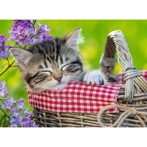 Ravensburger (10539) - "Sleeping Kitten" - 100 brikker puslespil