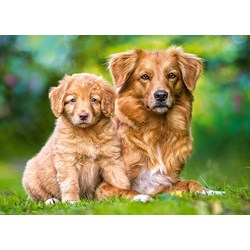 Castorland (13265) - "Always Together" - 120 brikker puslespil