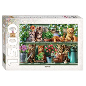 Step Puzzle (83057) - "Kittens in the Shelf" - 1500 brikker puslespil